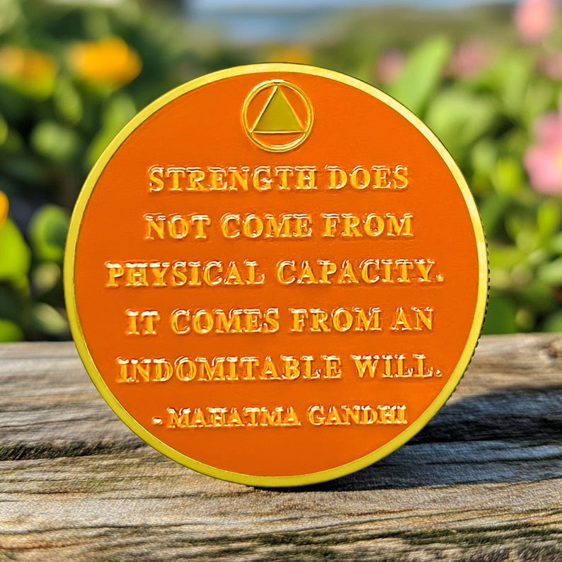 Original Hiking One Day at A Time Sobriety Coin mysite