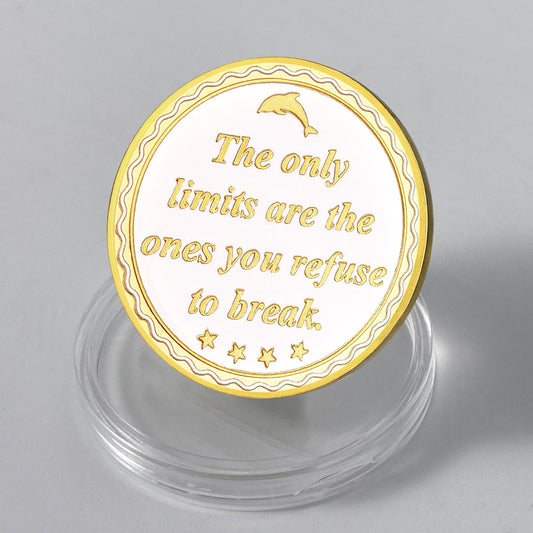 Beyond Limits Inspirational Dolphin Sobriety Recovery Coin mysite
