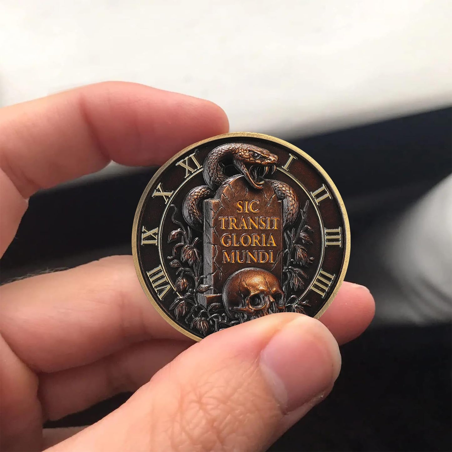 Memento Mori Stoic Skull Coin mysite