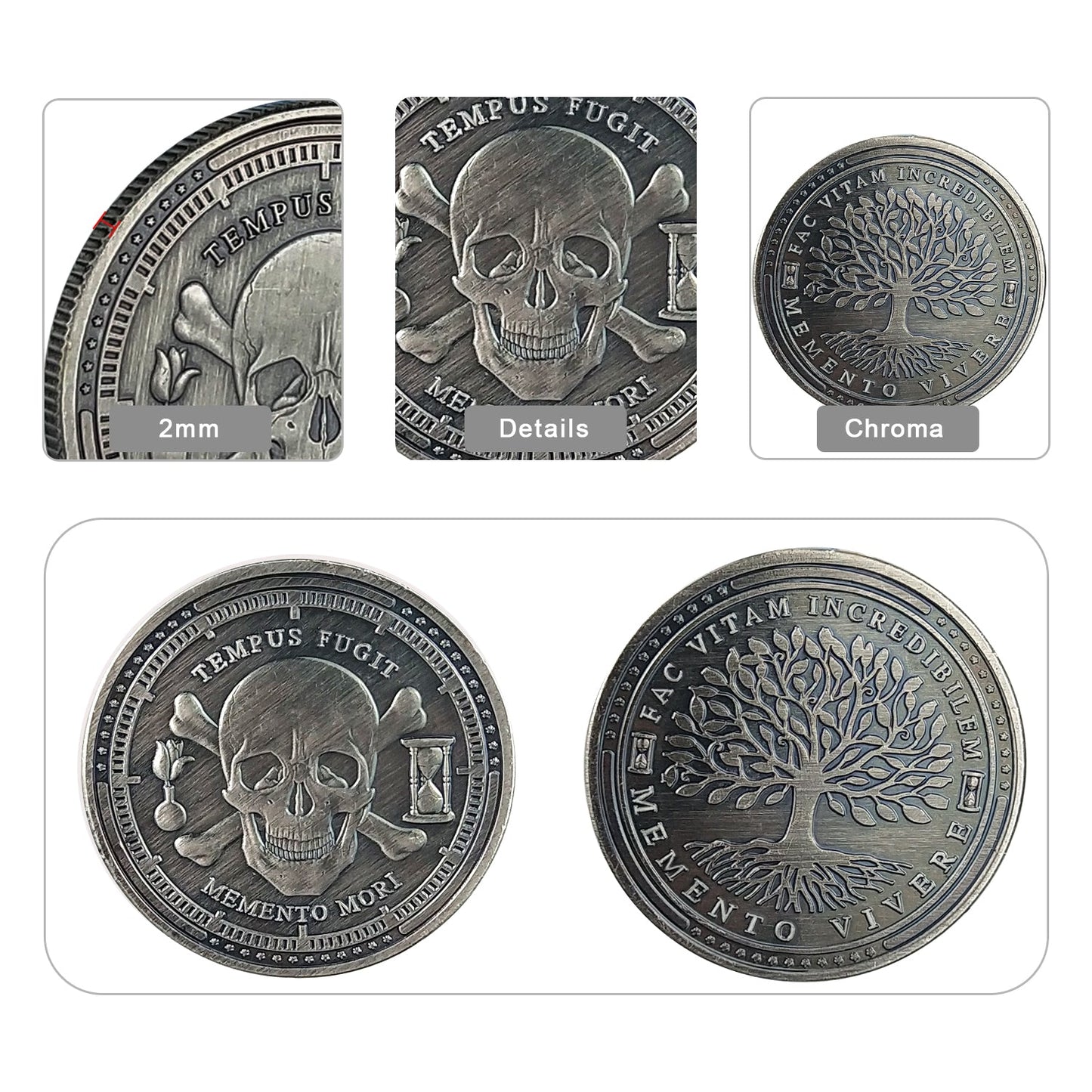 5 Pcs Memento Mori Memento Vivere Sliver Coin Gift Set mysite