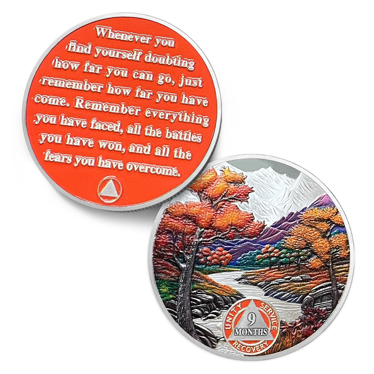 1 Month Sobriety Coin Coin With Meaning