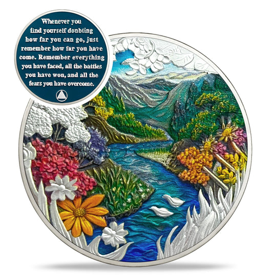 YN4J Tong Yong Sobriety Coin Coin With Meaning