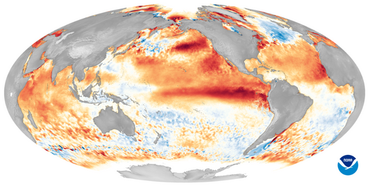 NOAA map of sea surface temperature anomalies during a strong El Niño event; wide contextual climate image.