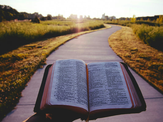 Open Bible beside a sunlit path, representing Scripture, new beginnings, and starting over with faith
