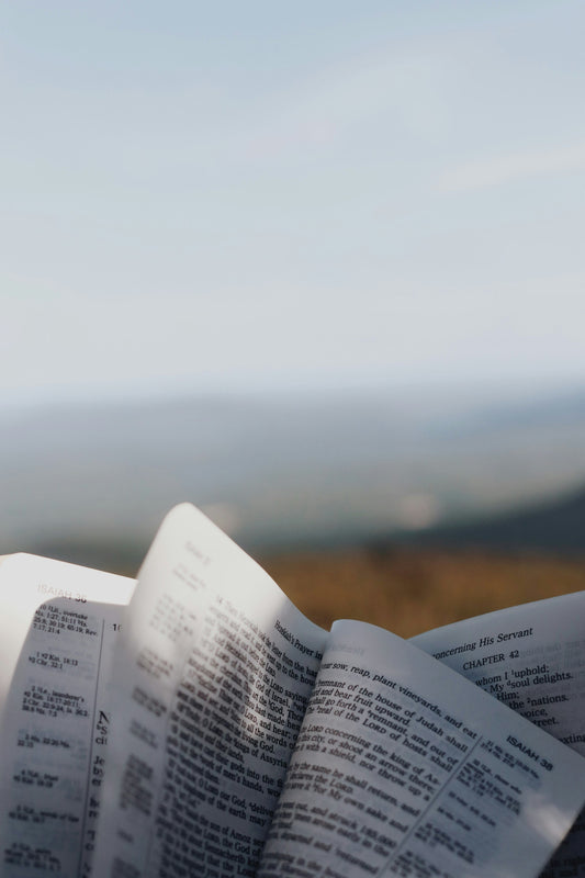 Open Bible against a distant landscape for a Christian reflection on purpose, calling, and the next faithful step