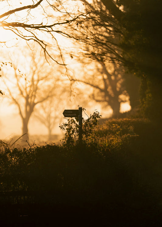 Signpost on a misty sunrise path symbolizing direction, choice and personal meaning in recovery