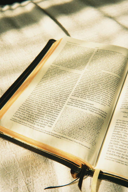 Open Bible in warm sunlight for a Christian reflection on self-worth, identity, and being known by God