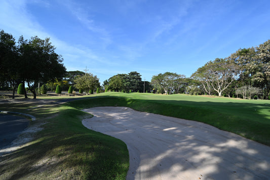 A wide sunlit golf course fairway with a sand bunker; licensed contextual image for Scottie Scheffler's record-round story.