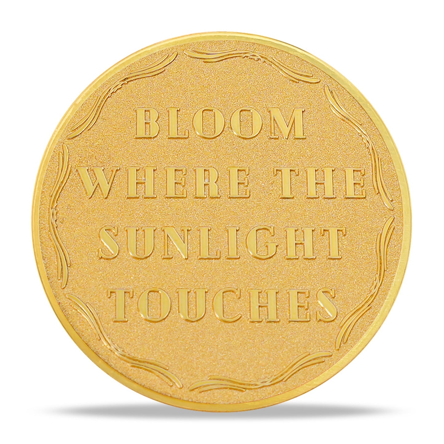 Dandelion Sunlight Sobriety Coin mysite