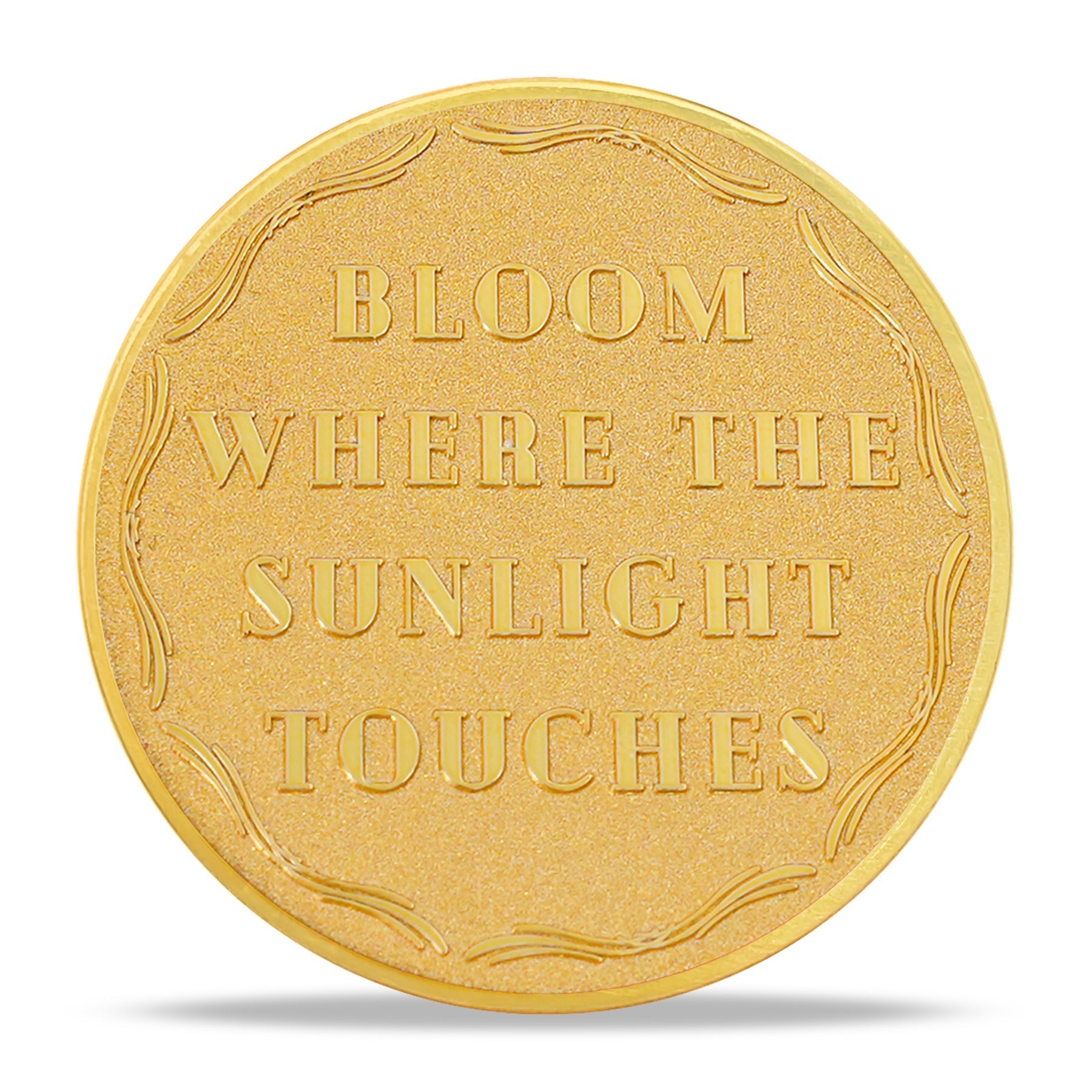 Dandelion Sunlight Sobriety Coin mysite