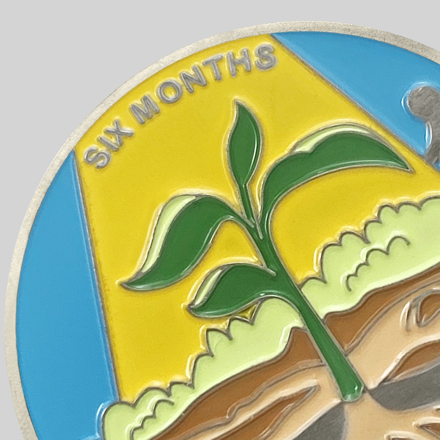 1 Month 1 Year Mountains and Highways Commemorative Gift Sobriety Coin mysite