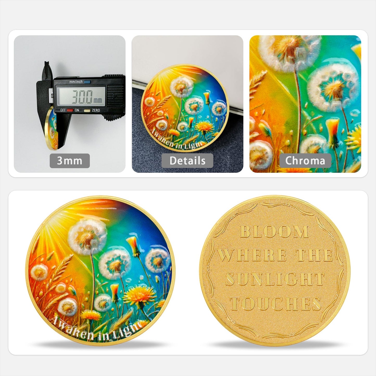 Dandelion Sunlight Sobriety Coin mysite