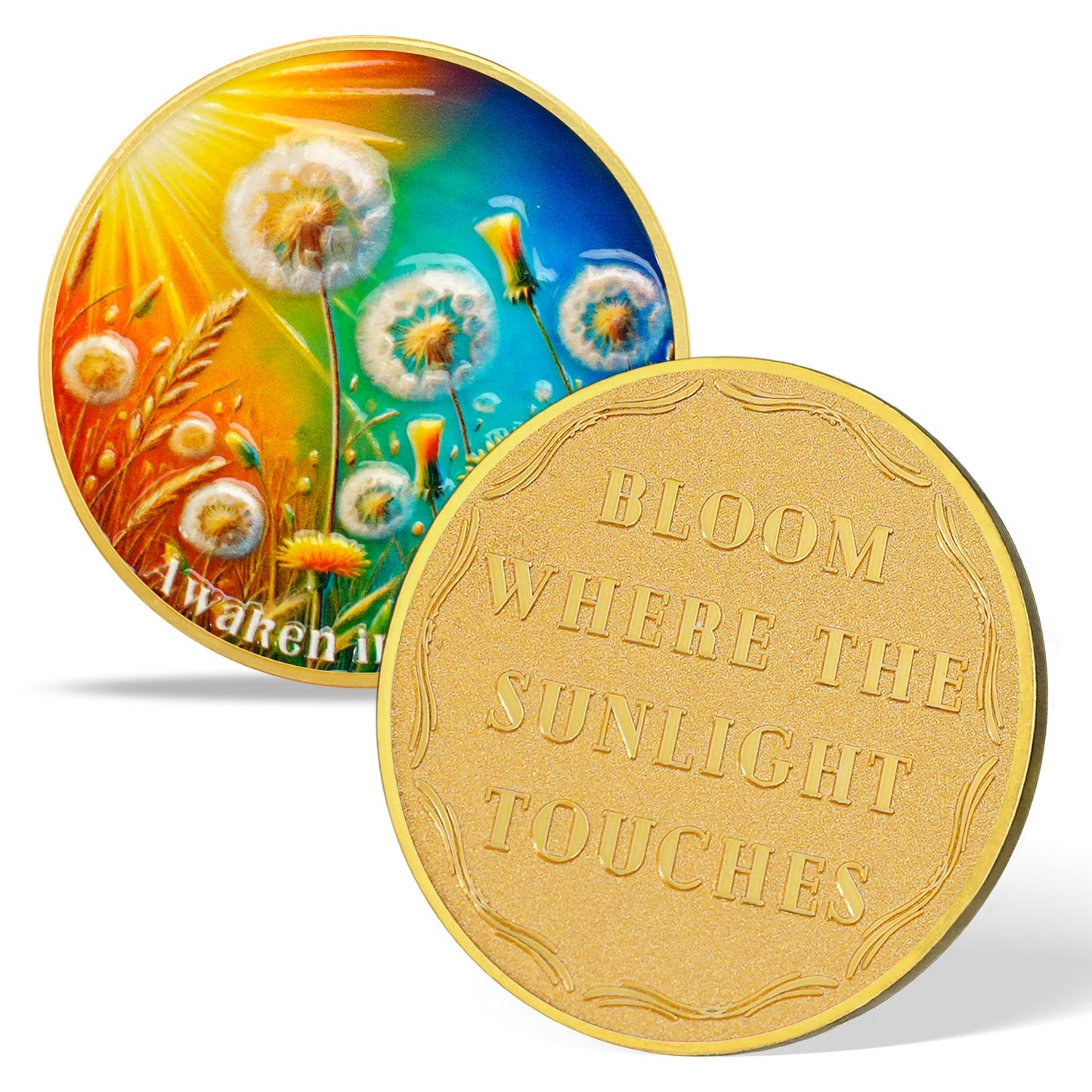 Dandelion Sunlight Sobriety Coin mysite