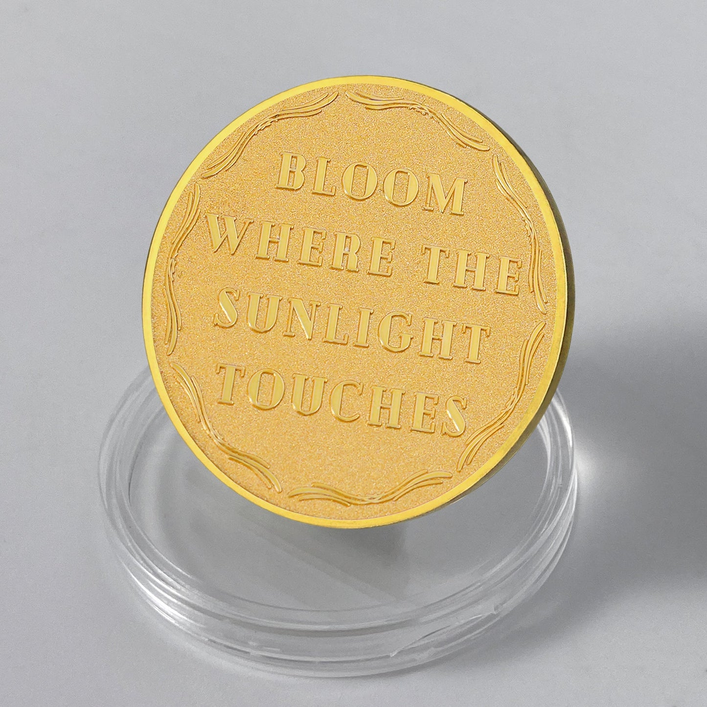 Dandelion Sunlight Sobriety Coin mysite