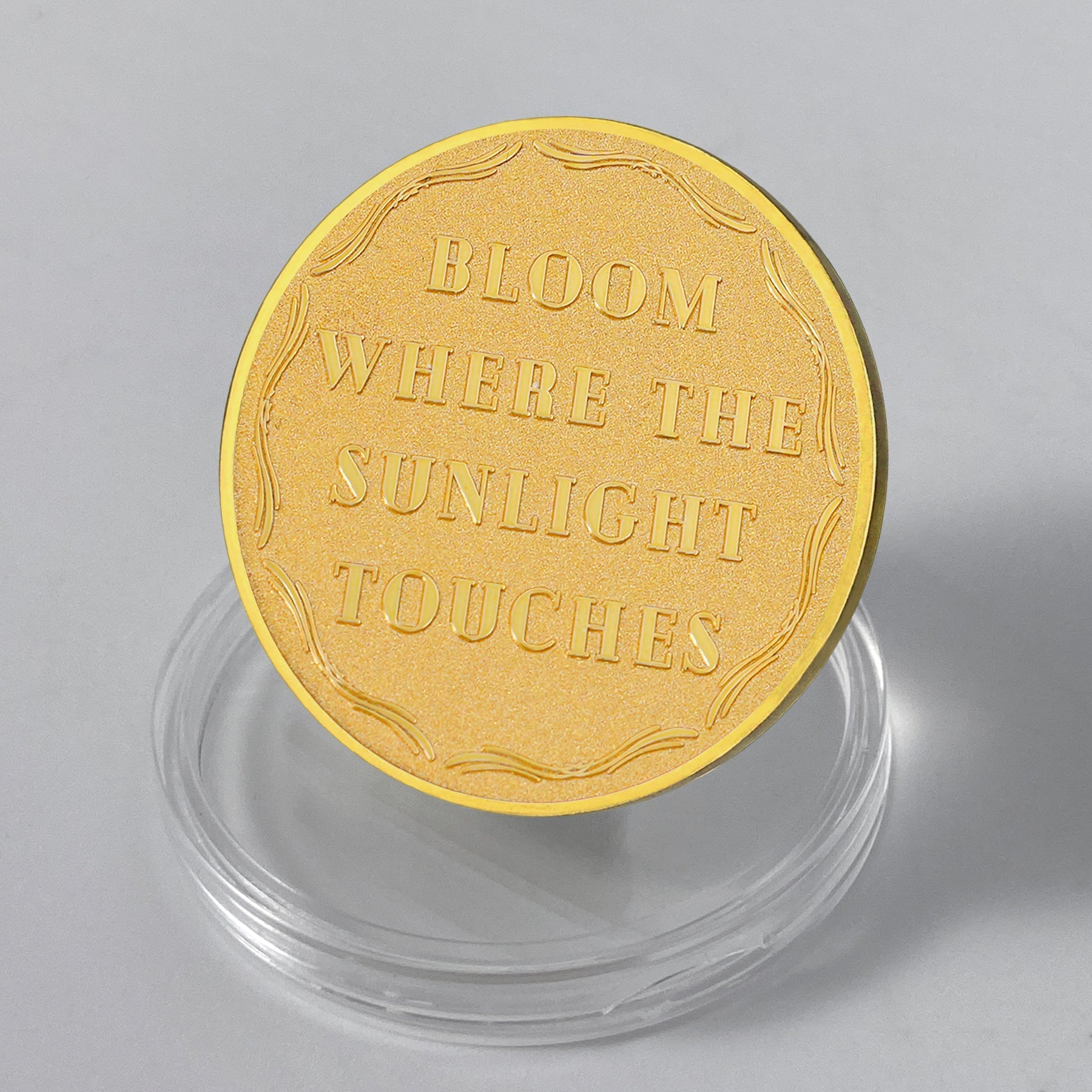 Dandelion Sunlight Sobriety Coin mysite