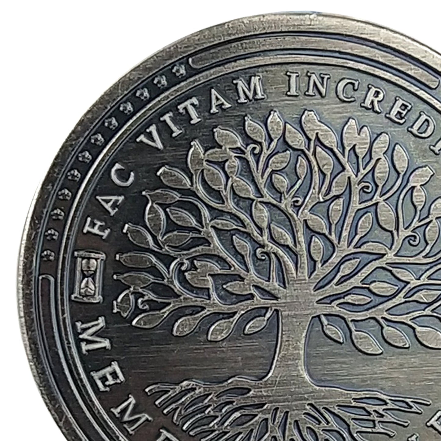 5 Pcs Memento Mori Memento Vivere Sliver Coin Gift Set mysite