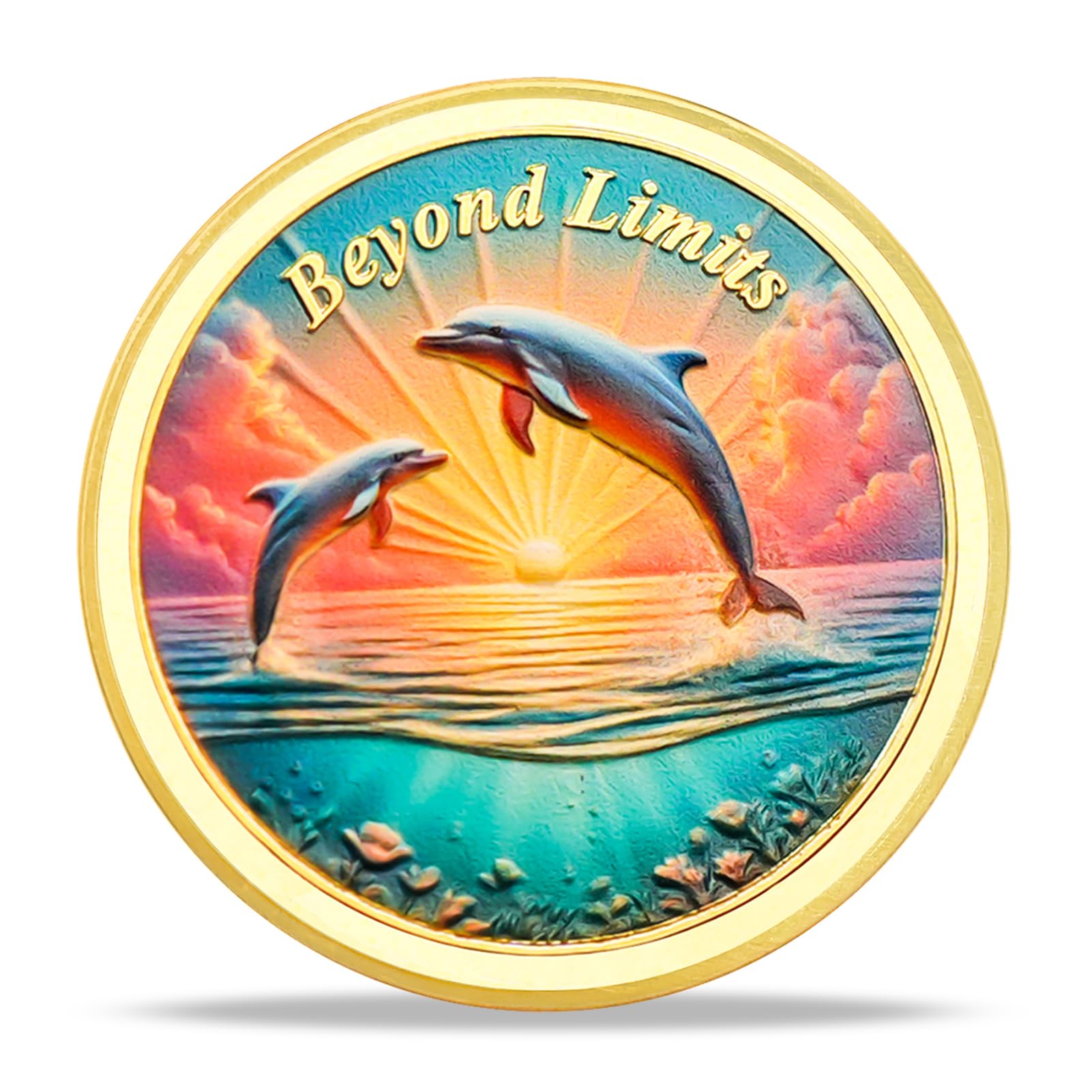 Beyond Limits Inspirational Dolphin Sobriety Recovery Coin mysite