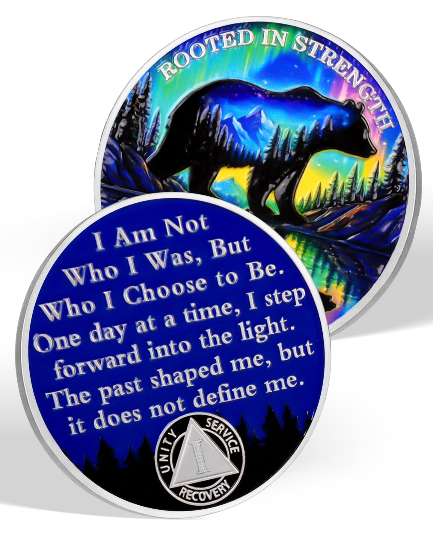 Rooted in Strength 1 Year Sobriety Coin – Bear & Aurora Design | AA Coin with Token Capsule, Sobriety Gifts for Men & Women, Alcohol Free Anniversary Celebration Gift YRCKUDZKG