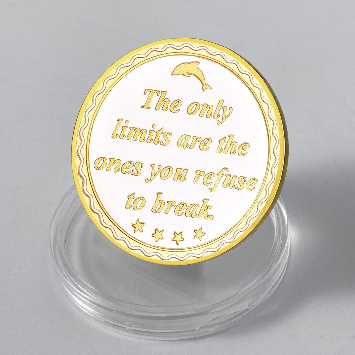 Beyond Limits Inspirational Dolphin Sobriety Recovery Coin mysite