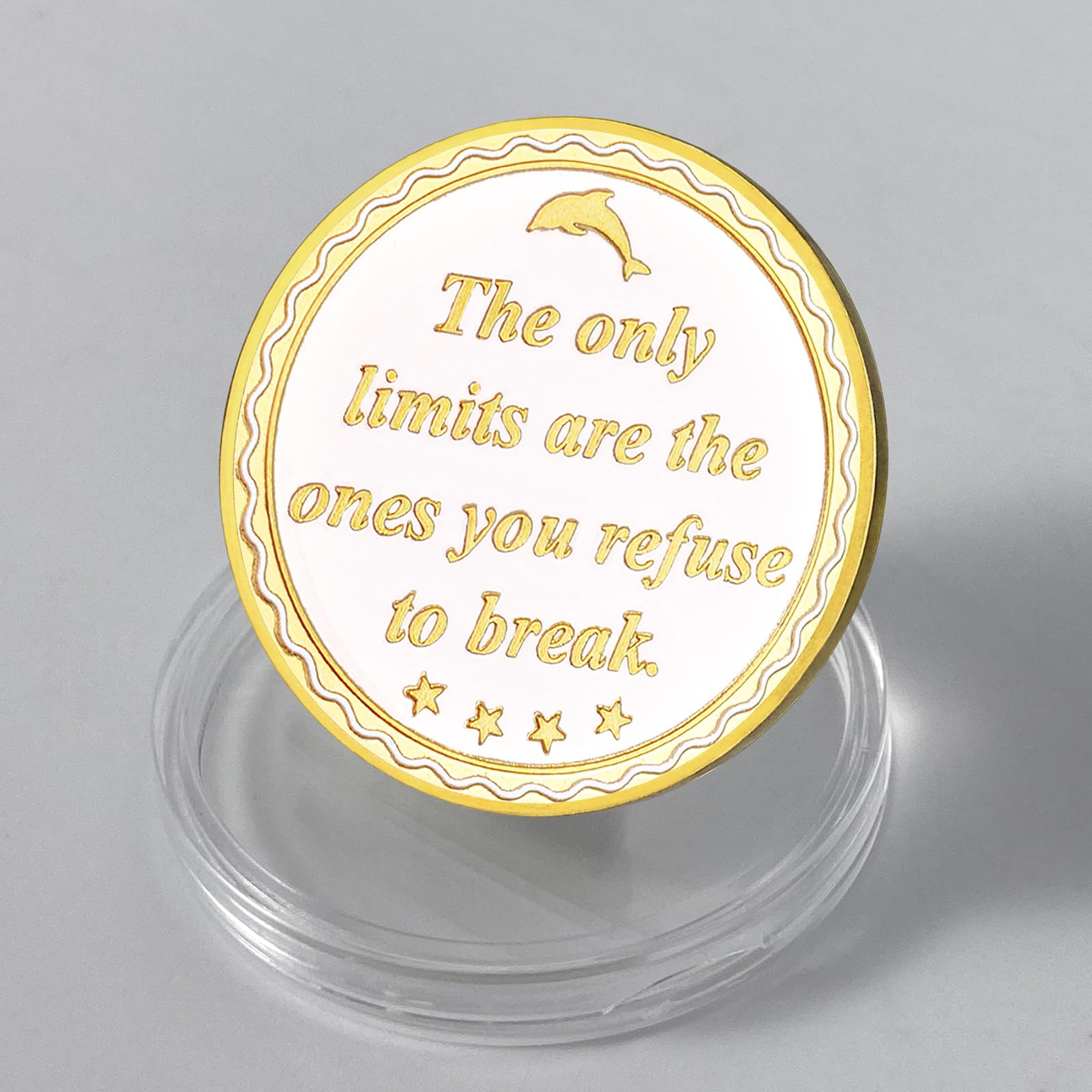 Beyond Limits Inspirational Dolphin Sobriety Recovery Coin mysite