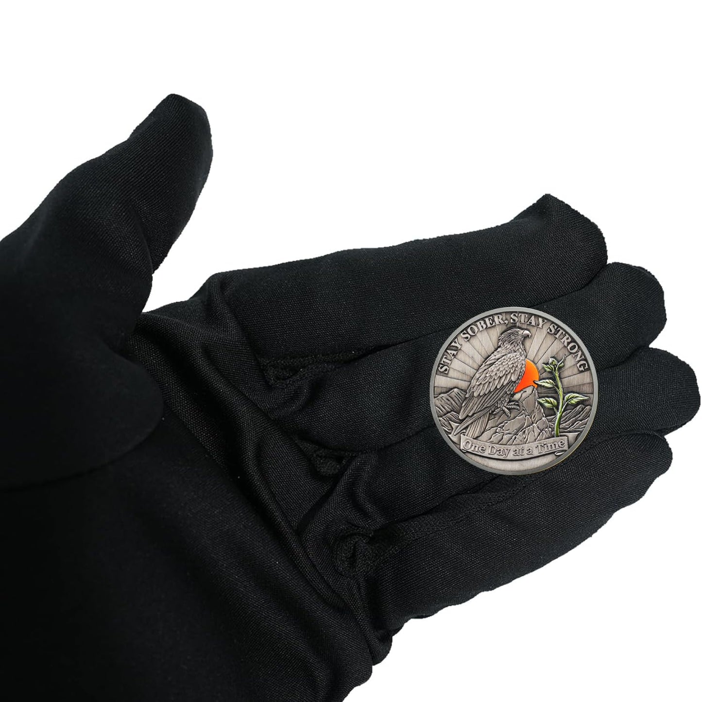 Hope Eagle Celebrating Recovery and Personal Growth Sobriety Coin mysite