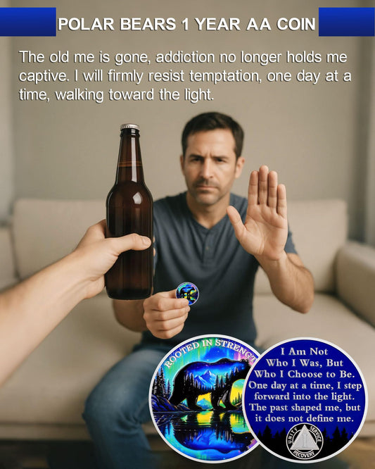 Rooted in Strength 1 Year Sobriety Coin – Bear & Aurora Design | AA Coin with Token Capsule, Sobriety Gifts for Men & Women, Alcohol Free Anniversary Celebration Gift YRCKUDZKG