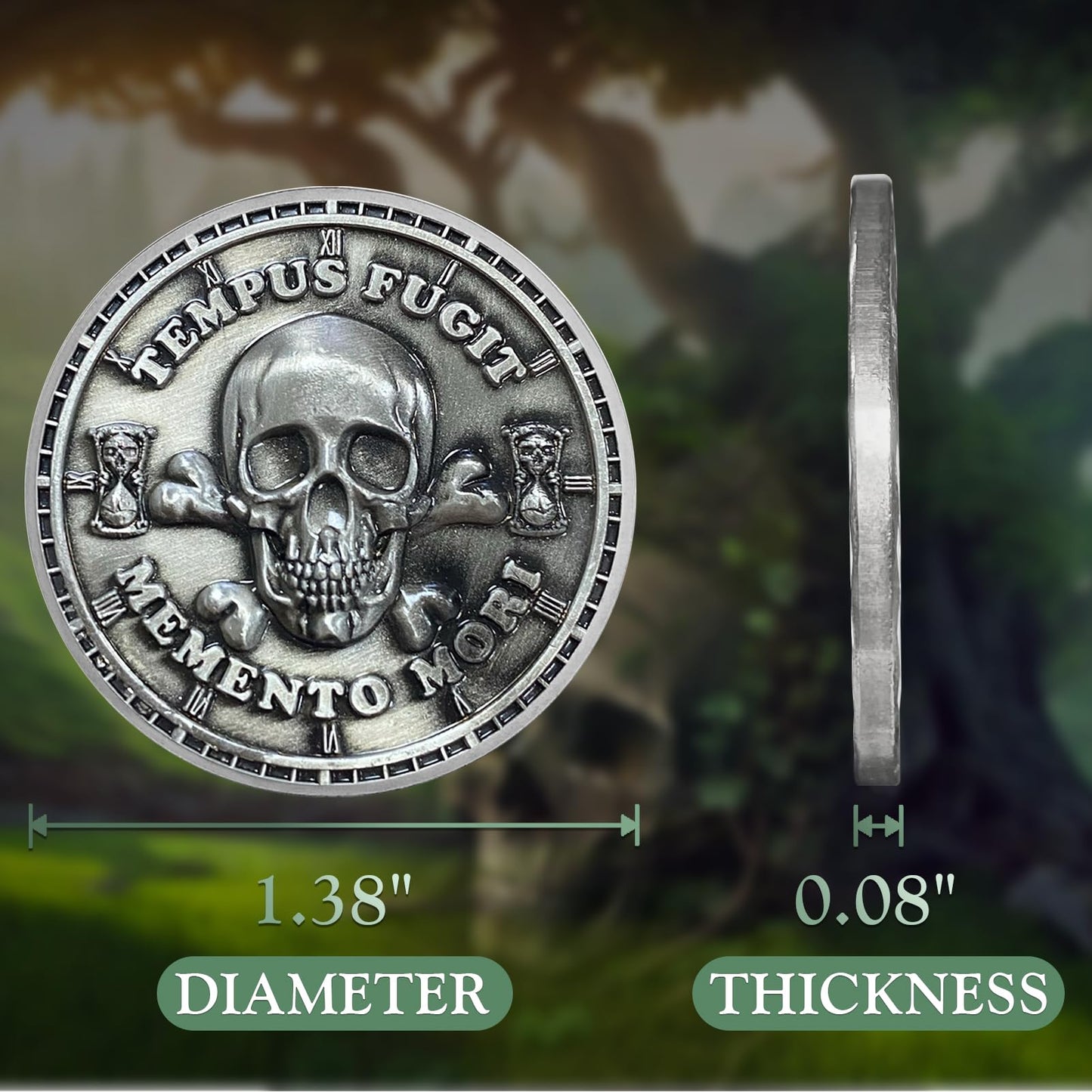 Memento Mori Memento Vivere Coin 3D Skull Challenge Coins mysite