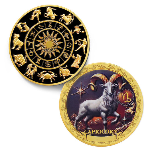 Capricorn 12 Zodiac Protective Talisman Challenge Coin mysite