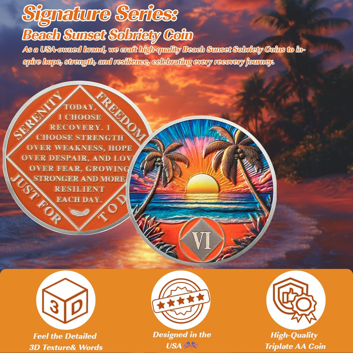 Beach Sunset 6 Year Sobriety Coin, Affirmation NA Coin, Addiction Recovery Six Year Sober Chip, Celebrating Recovery Anniversary Token, Narcotics Anonymous Sobriety Gifts for Men Women Vitalway