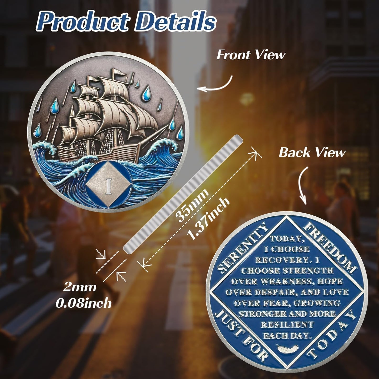Braving The Storm 1 Year Sober Coin, Nautical NA Coin, Addiction Recovery One Year Sober Chip, Celebrating Recovery Anniversary Token, Narcotics Anonymous Sobriety Gifts for Men Women（副本） mysite