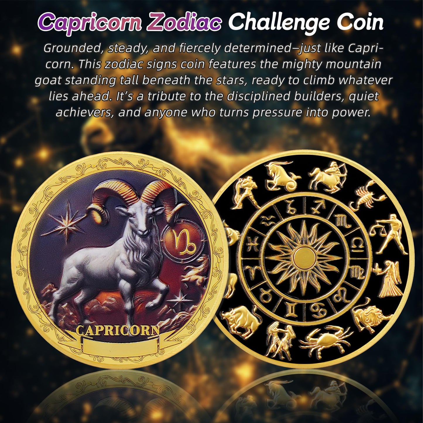 Capricorn 12 Zodiac Protective Talisman Challenge Coin mysite