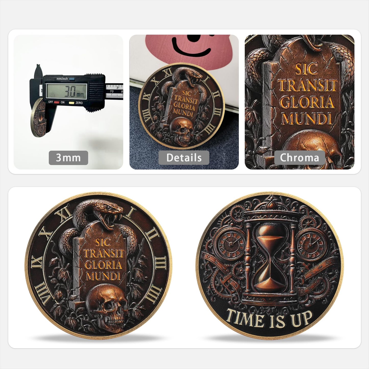 Memento Mori Stoic Skull Coin mysite