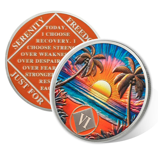 Beach Sunset 6 Year Sobriety Coin, Affirmation NA Coin, Addiction Recovery Six Year Sober Chip, Celebrating Recovery Anniversary Token, Narcotics Anonymous Sobriety Gifts for Men Women Vitalway