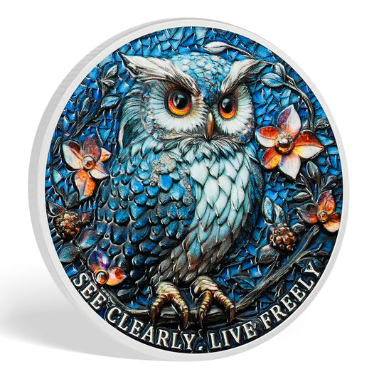 Owl & Triangular Symbol See Clearly Sobriety Coin mysite