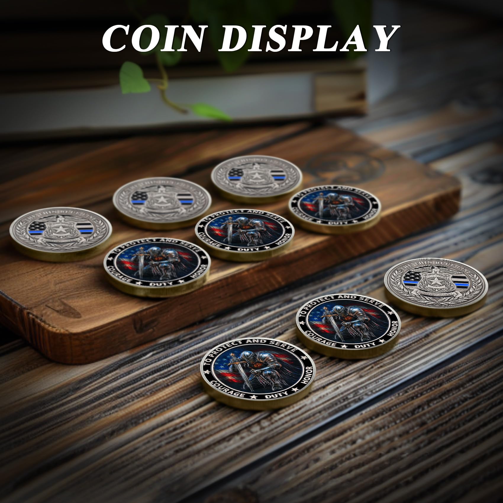 Knight Guardian Challenge Coin mysite