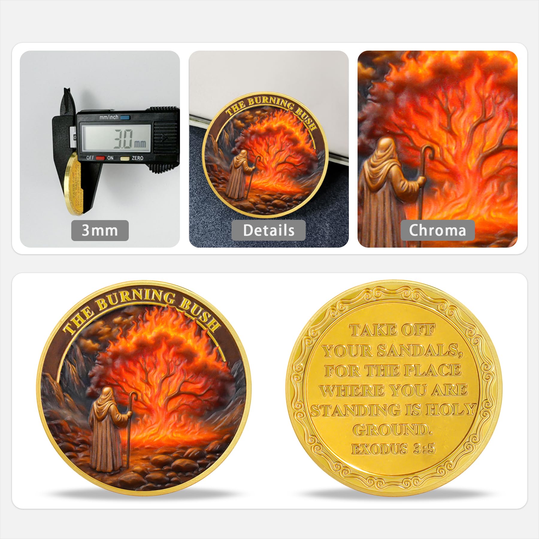 Moses and The Burning Bush Religious Coin mysite