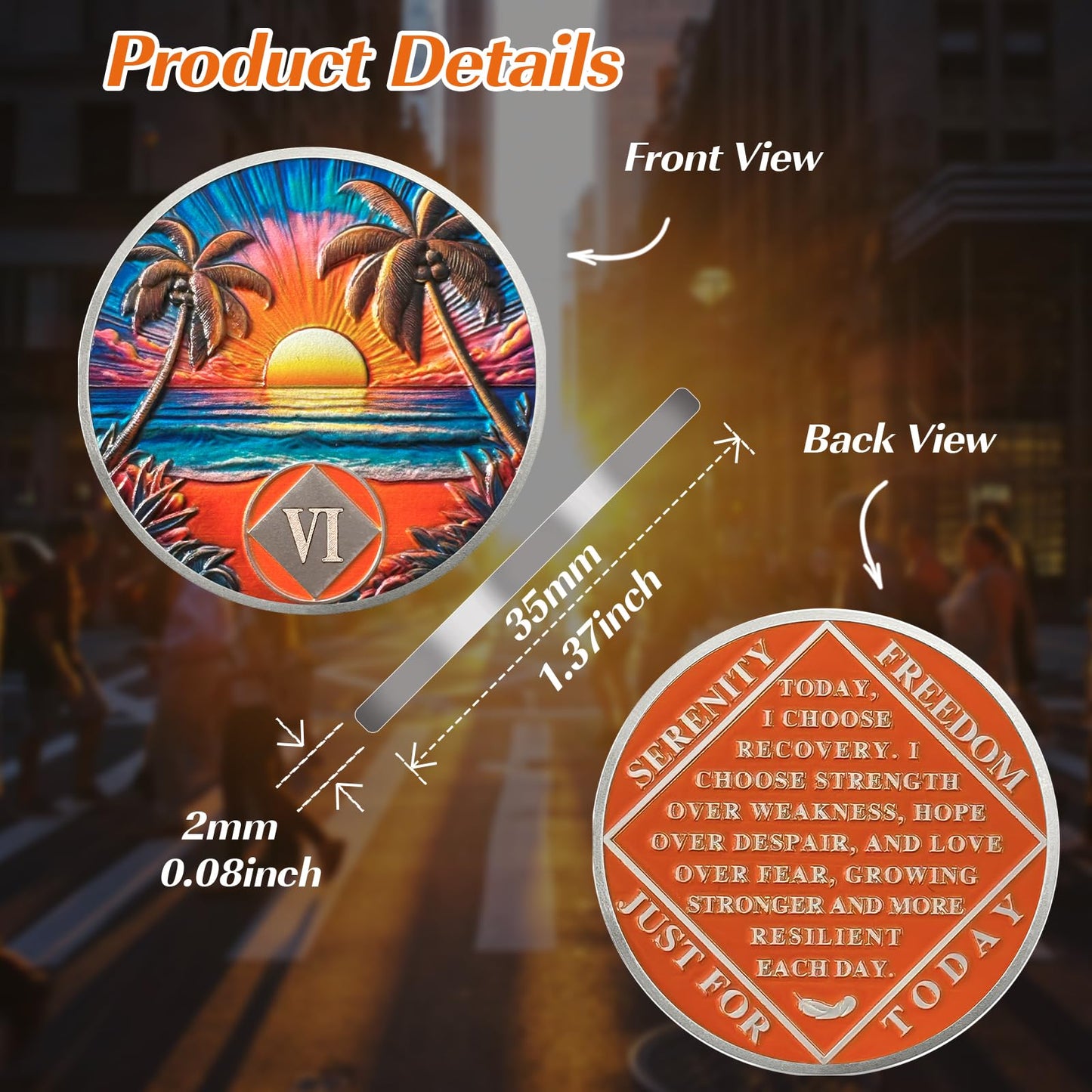 Beach Sunset 6 Year Sobriety Coin, Affirmation NA Coin, Addiction Recovery Six Year Sober Chip, Celebrating Recovery Anniversary Token, Narcotics Anonymous Sobriety Gifts for Men Women Vitalway