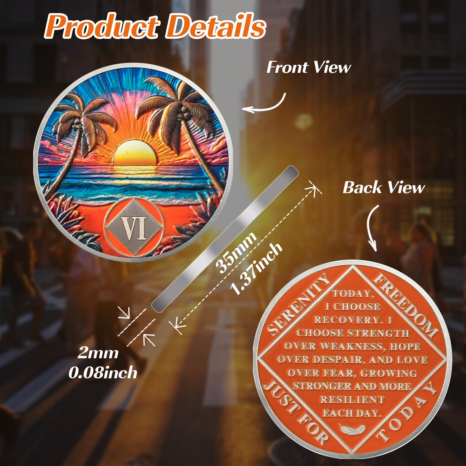 Beach Sunset 6 Year Sobriety Coin, Affirmation NA Coin, Addiction Recovery Six Year Sober Chip, Celebrating Recovery Anniversary Token, Narcotics Anonymous Sobriety Gifts for Men Women Vitalway