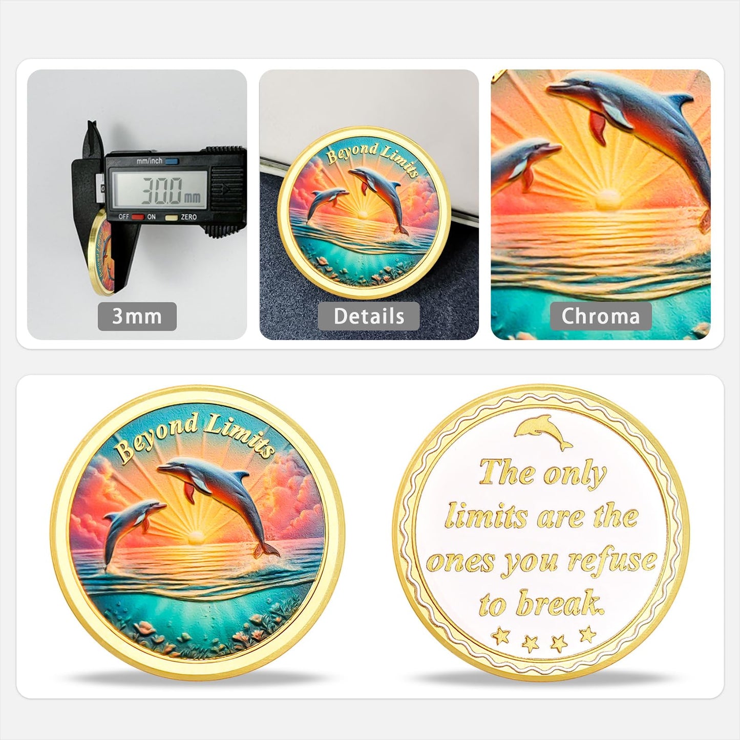 Beyond Limits Inspirational Dolphin Sobriety Recovery Coin mysite