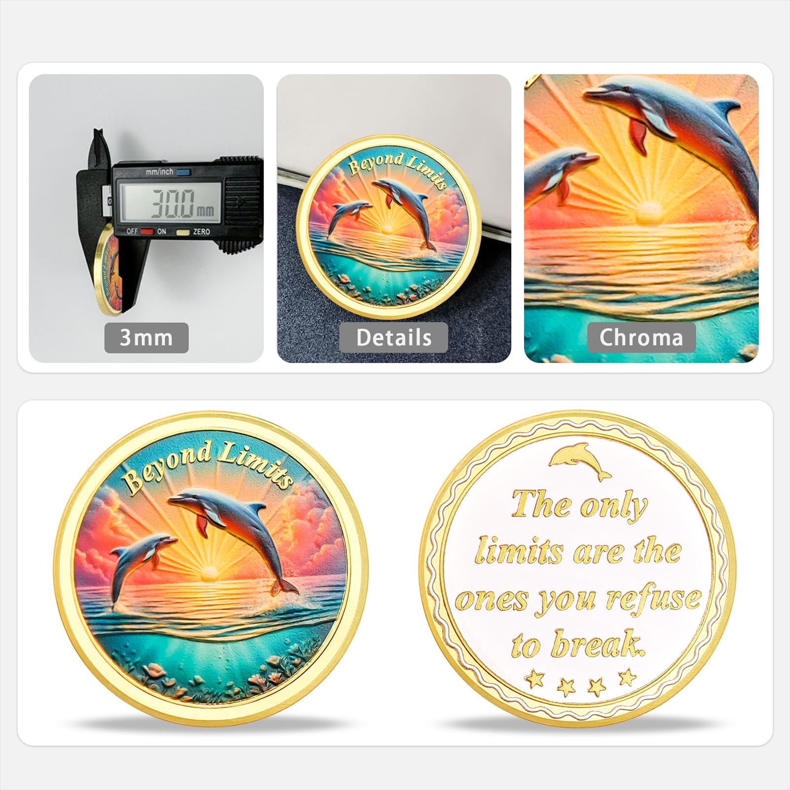 Beyond Limits Inspirational Dolphin Sobriety Recovery Coin mysite