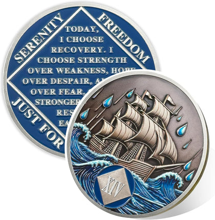 Braving The Storm 1 Year Sober Coin, Nautical NA Coin, Addiction Recovery One Year Sober Chip, Celebrating Recovery Anniversary Token, Narcotics Anonymous Sobriety Gifts for Men Women（副本） mysite