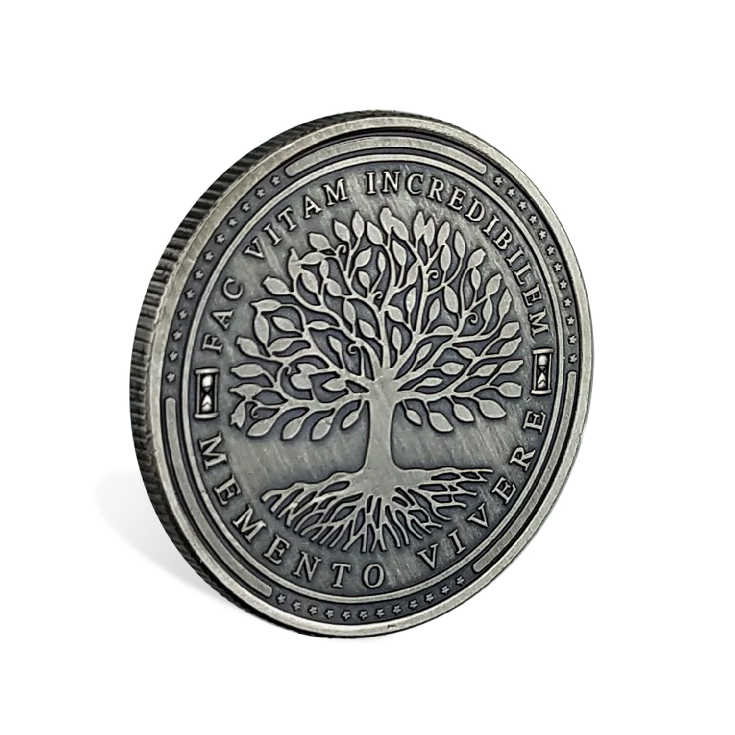 5 Pcs Memento Mori Memento Vivere Sliver Coin Gift Set mysite