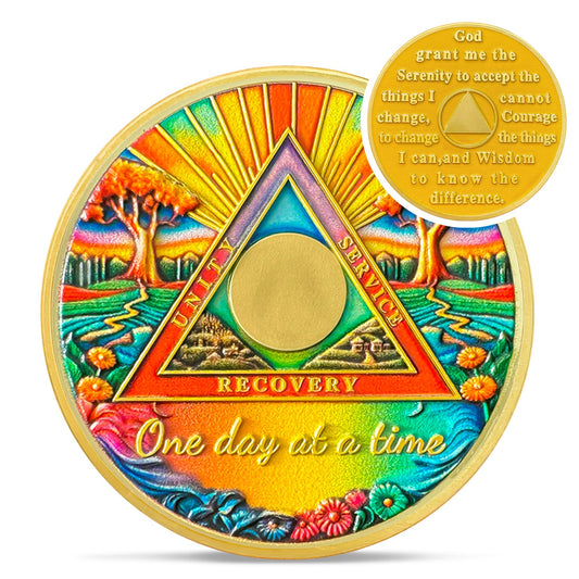 Rainbow Triangle Sobriety Coin Coin With Meaning