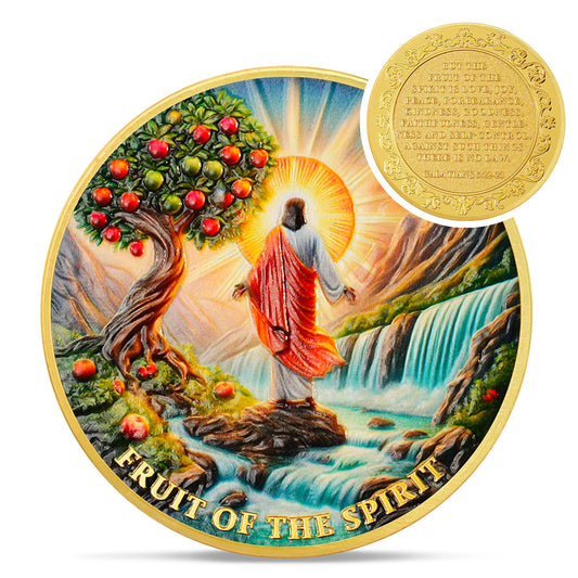 Fruit of The Spirit Jesus Coin Coin With Meaning