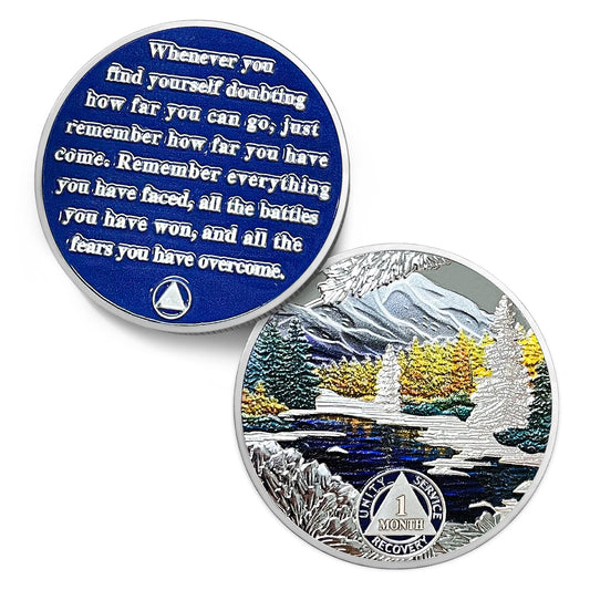 1 Month Sobriety Coin Coin With Meaning