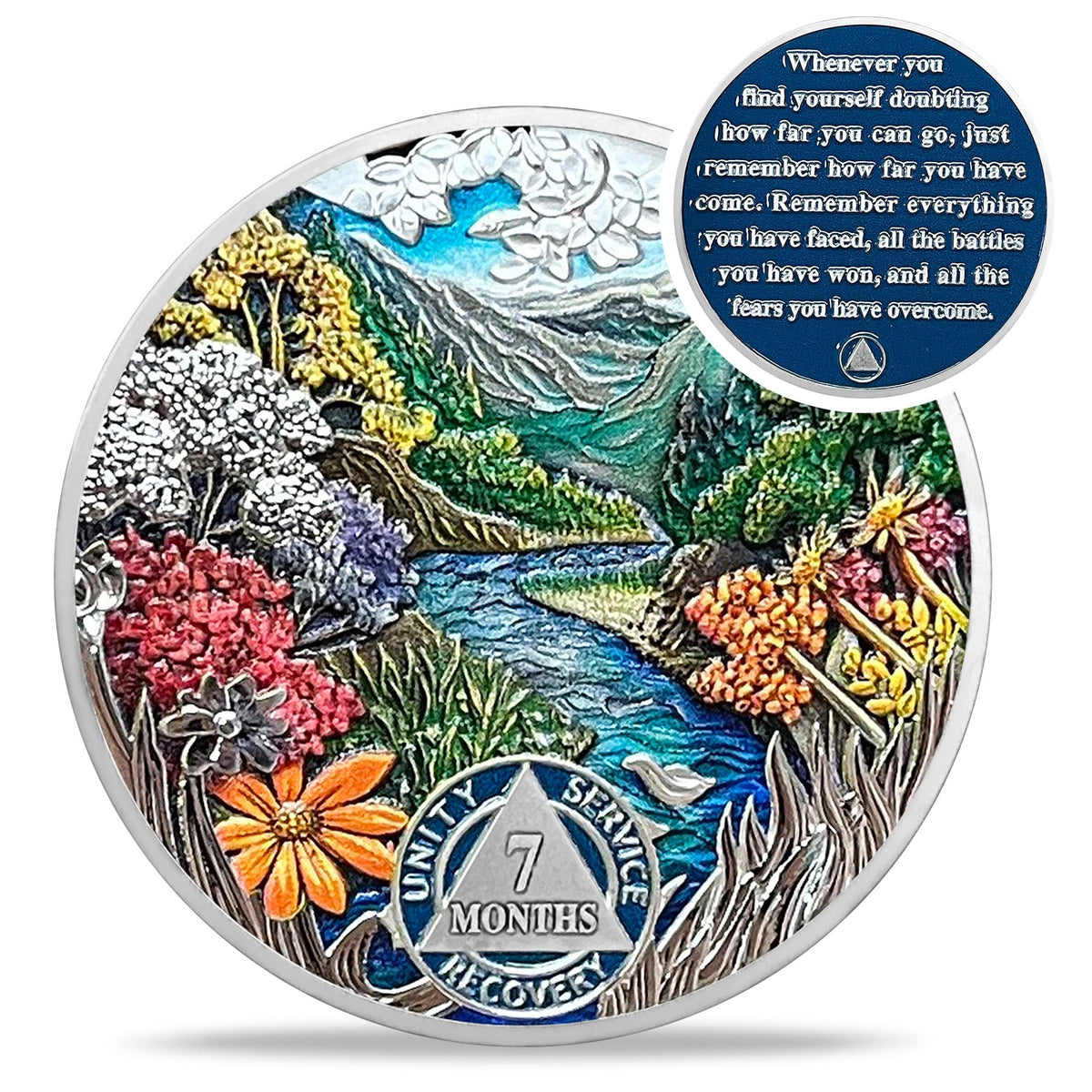 1 Month Sobriety Coin Coin With Meaning