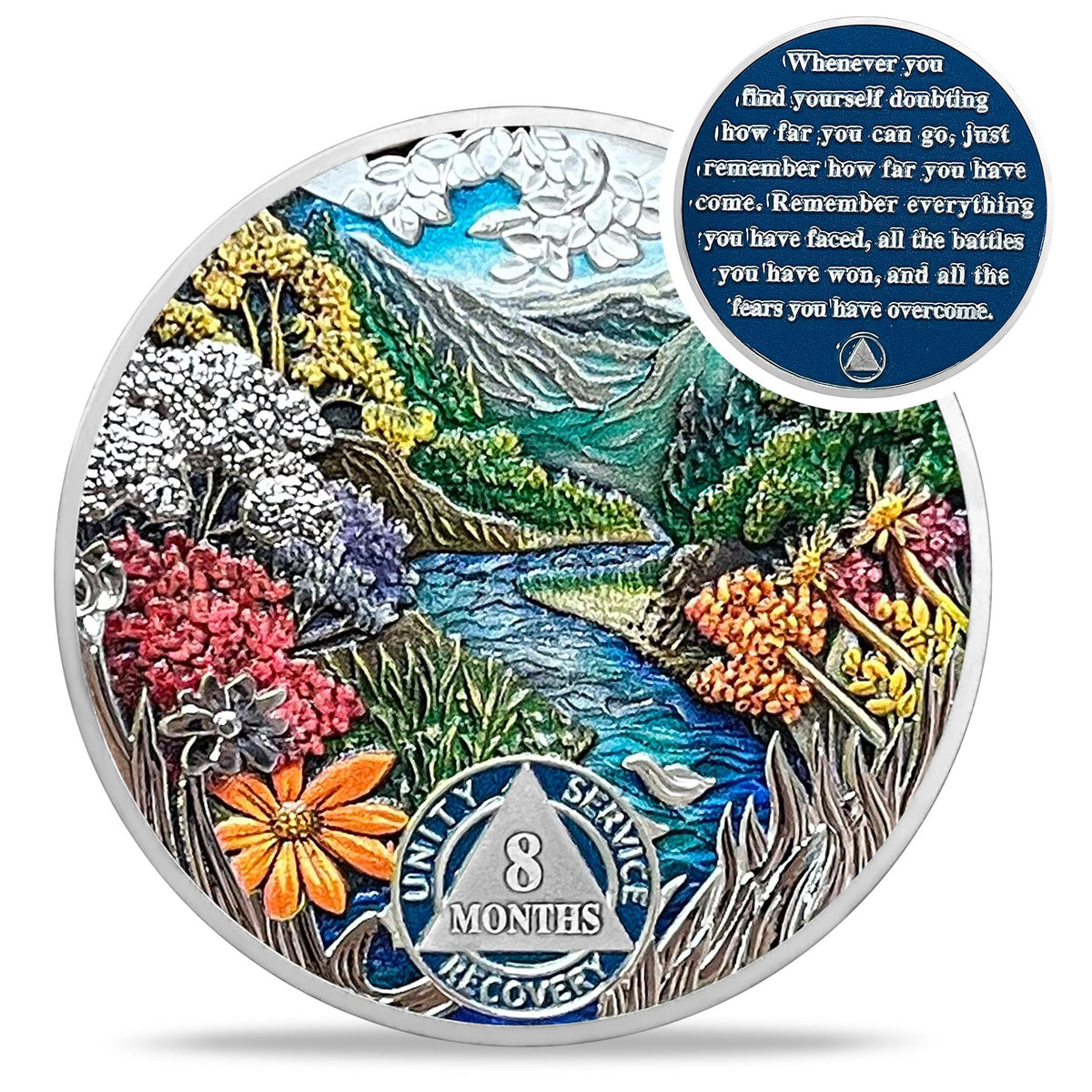 1 Month Sobriety Coin Coin With Meaning