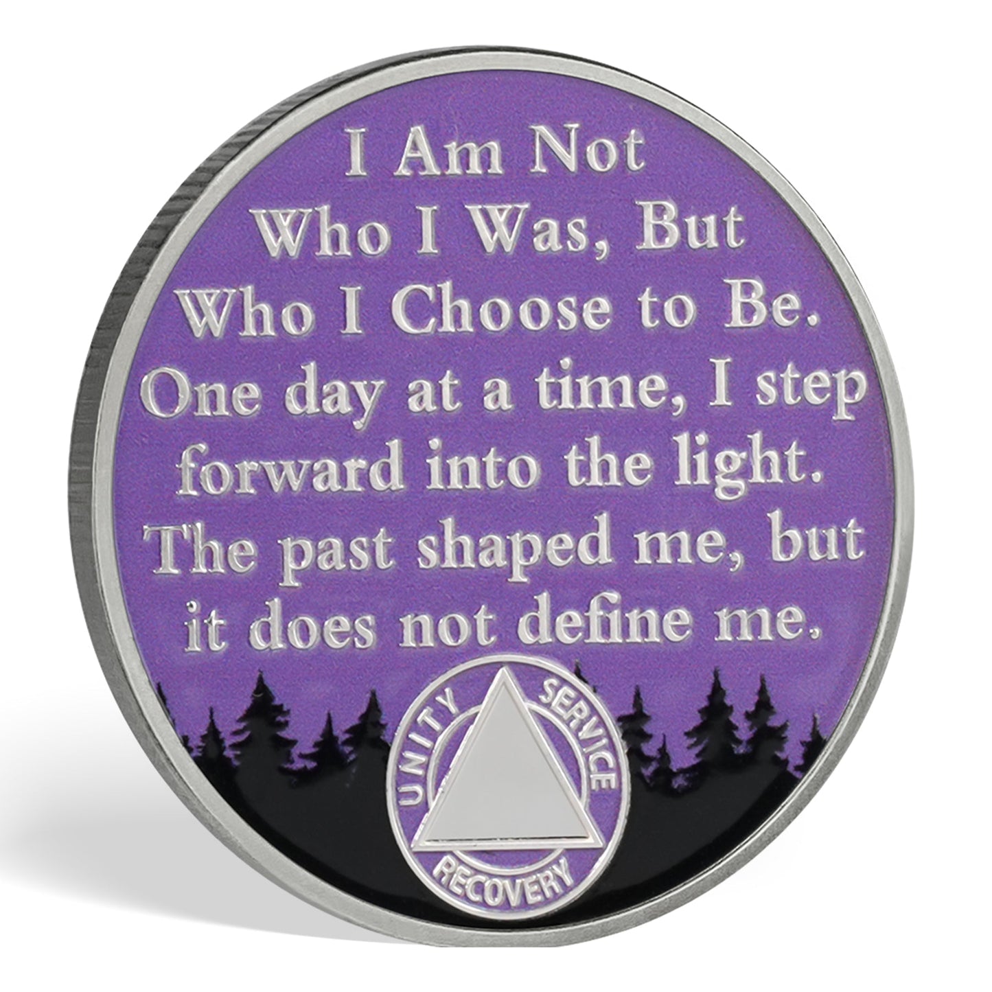 Personalized Aurora Bonfire One Day at a Time Sobriety Coin mysite