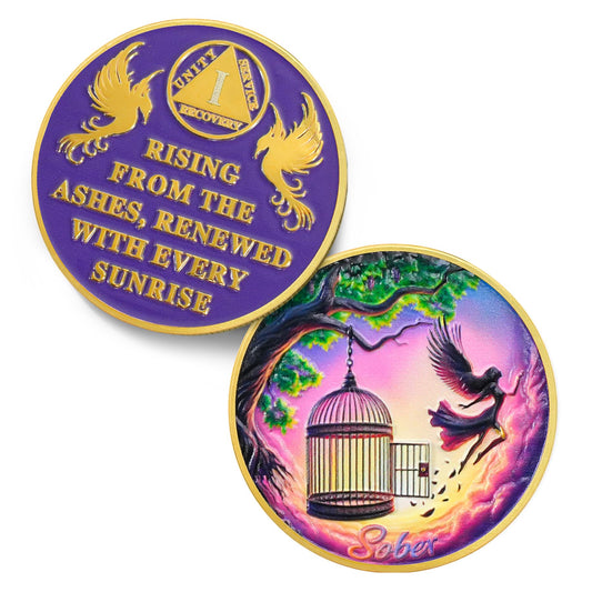 Fly to Freedom Sobriety Coin Coin With Meaning